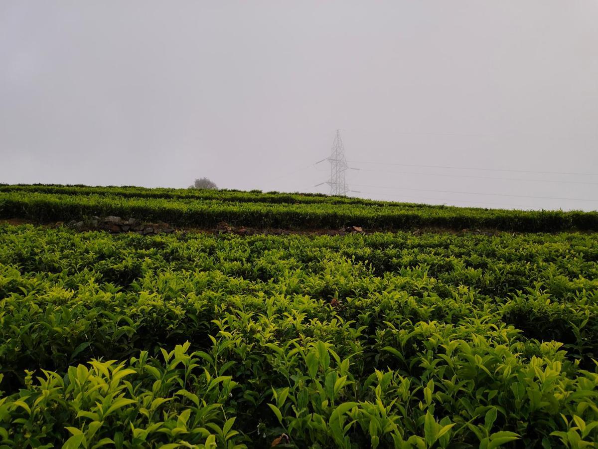Silver Spruce Entire Nature Villa Kotagiri Exterior foto